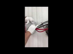 Vòng trượt Ethernet ECN000-21P-06S-01EG